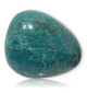Chrysocolle polie