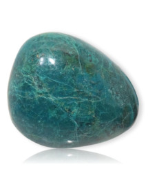 Chrysocolle polie