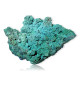 Chrysocolle