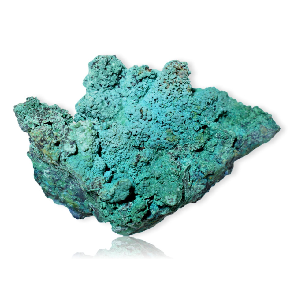 Chrysocolle