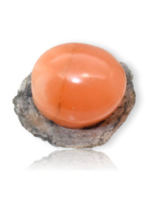 Gypse de France