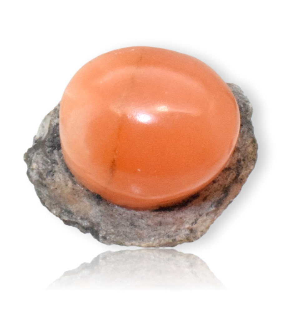 Gypse de France