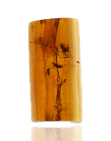 Ambre avec inclusions