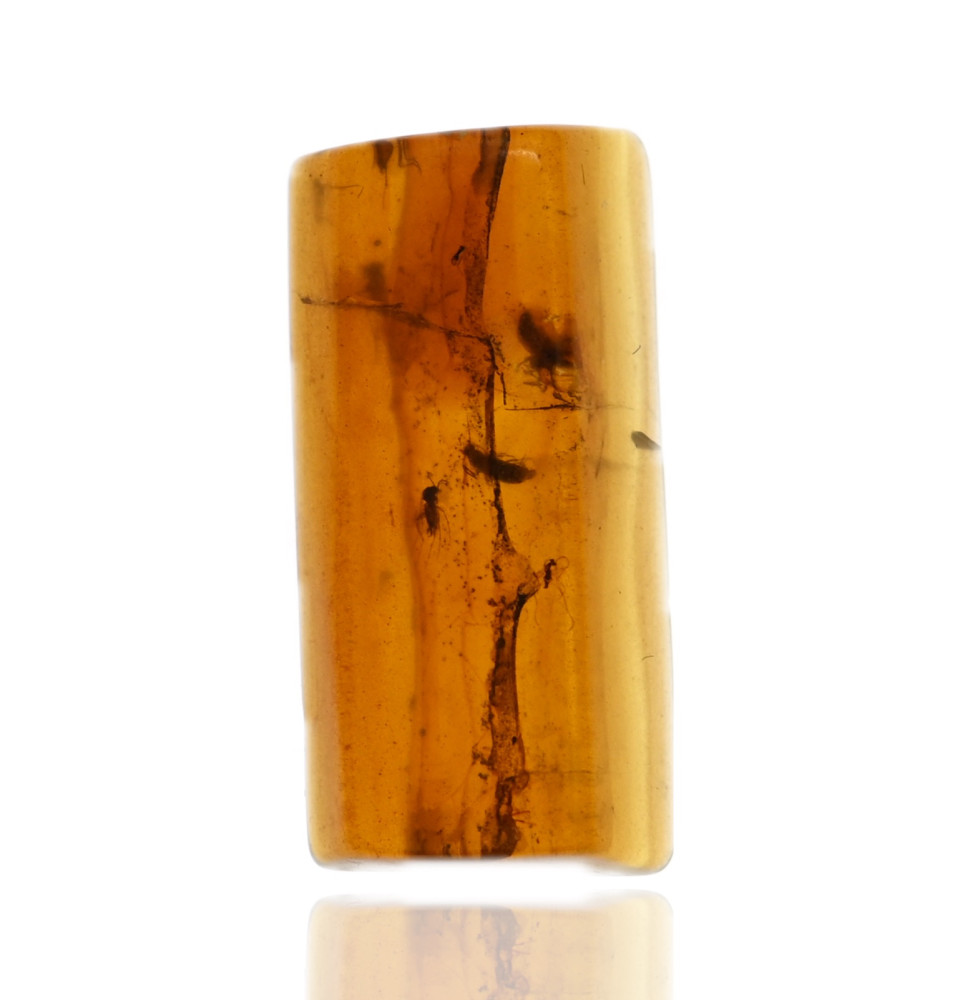 Ambre avec inclusions Ambre avec inclusions