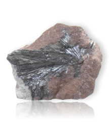Manganite