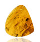 Ambre avec inclusions