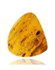 Ambre avec inclusions