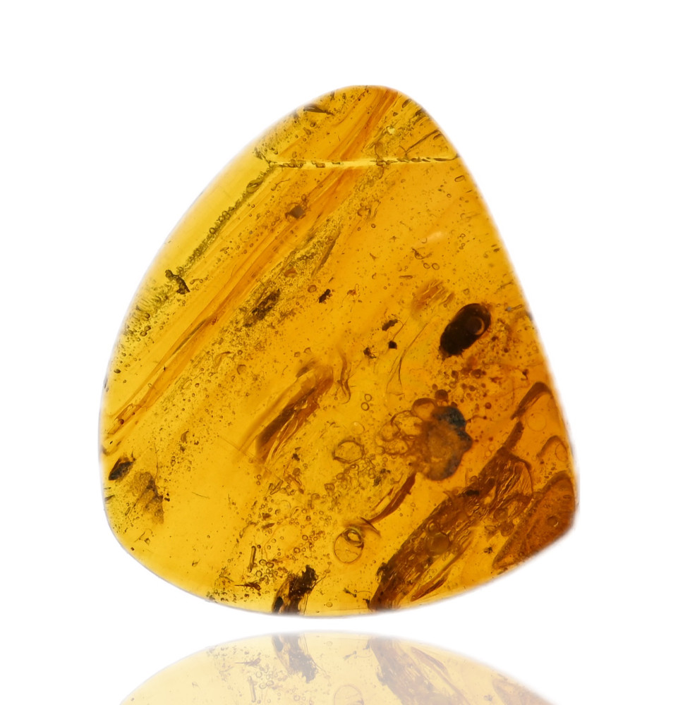 Ambre avec inclusions