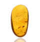 Ambre avec inclusions