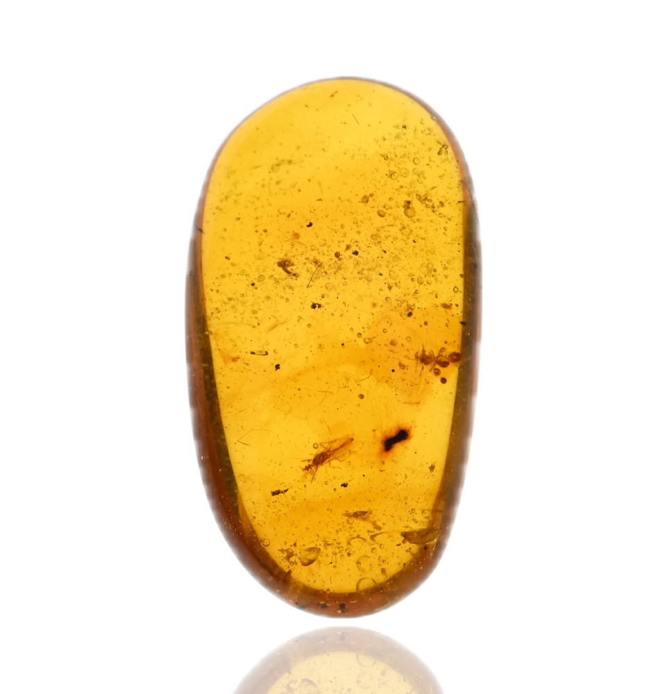 Ambre avec inclusions