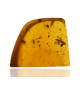 Ambre avec inclusions
