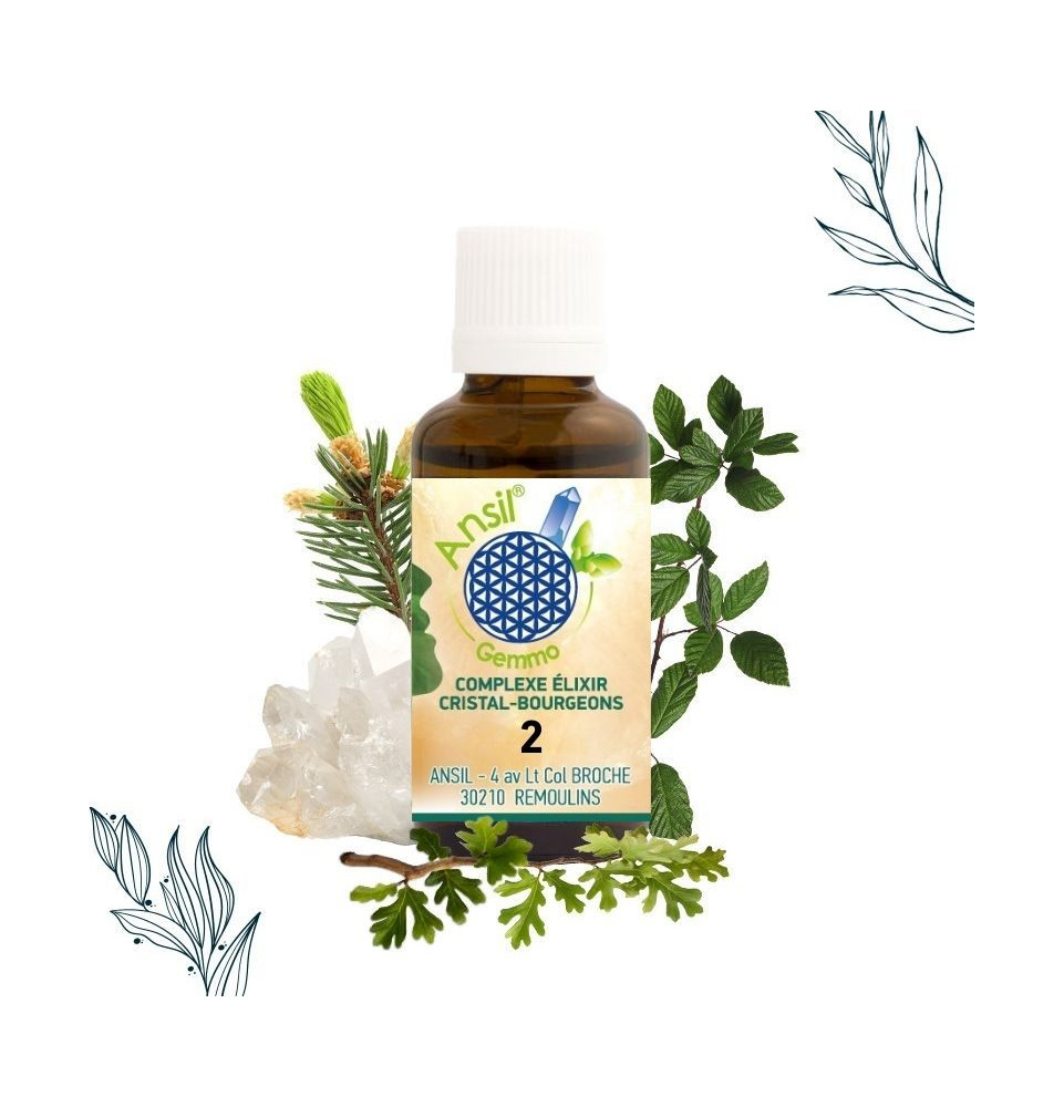 COMPLEXE ELIXIR CRISTAL-BOURGEONS 2