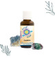 ELIXIR DE FLUORITE ANSIL