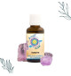 ELIXIR DE KUNZITE ANSIL