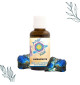 Elixir de Labradorite de ANSIL