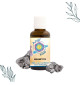Elixir Magnite de Ansil
