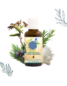 COMPLEXE ELIXIR CRISTAL-BOURGEONS 6