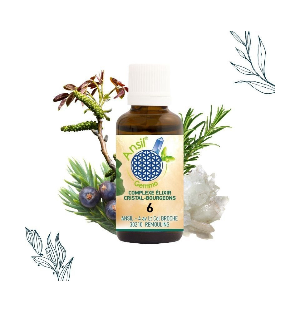 COMPLEXE ELIXIR CRISTAL-BOURGEONS 6