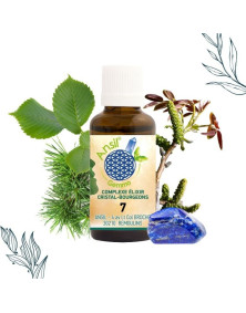 COMPLEXE ELIXIR CRISTAL-BOURGEONS 7