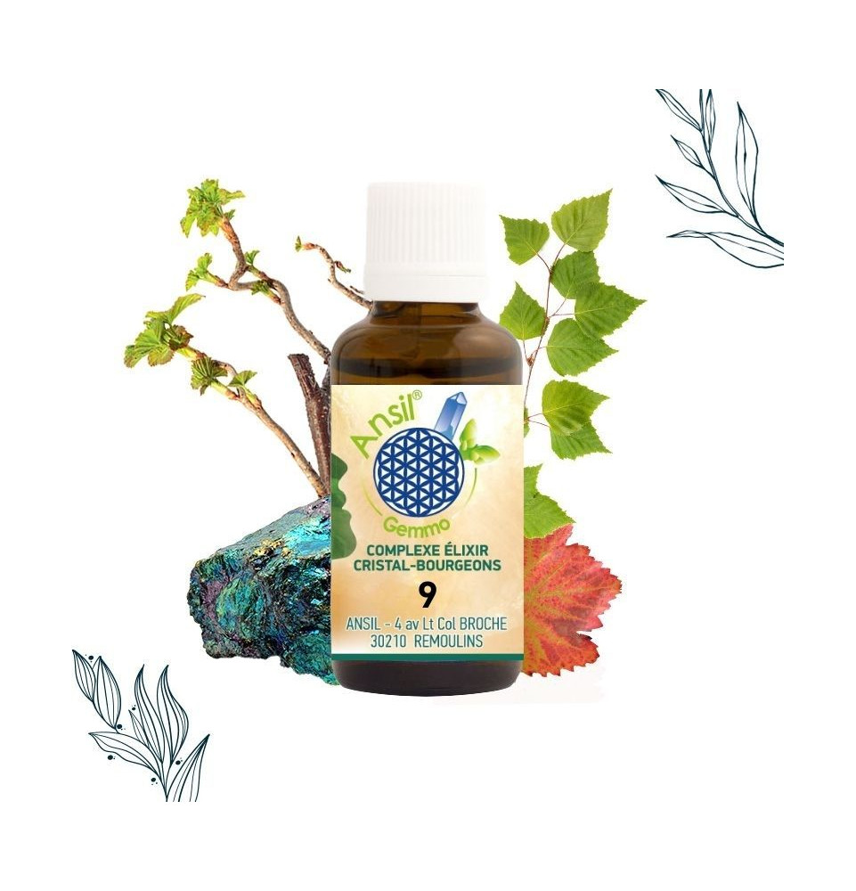 COMPLEXE ELIXIR CRISTAL-BOURGEONS 9