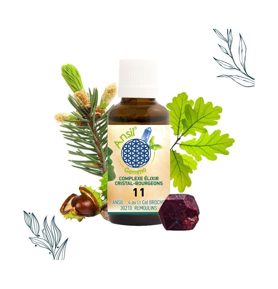 COMPLEXE ELIXIR CRISTAL-BOURGEONS 11