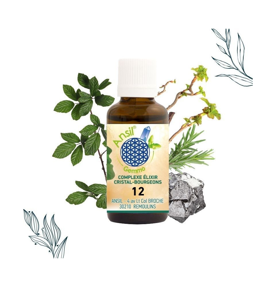 COMPLEXE ELIXIR CRISTAL-BOURGEONS 12