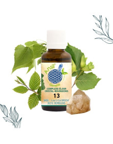 COMPLEXE ELIXIR CRISTAL-BOURGEONS 13