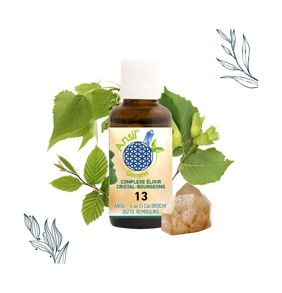 COMPLEXE ELIXIR CRISTAL-BOURGEONS 13
