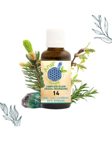 COMPLEXE ELIXIR CRISTAL-BOURGEONS 14