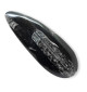 Orthoceras