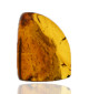 Ambre avec inclusions