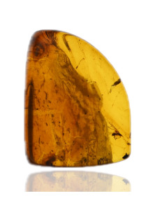 Ambre avec inclusions