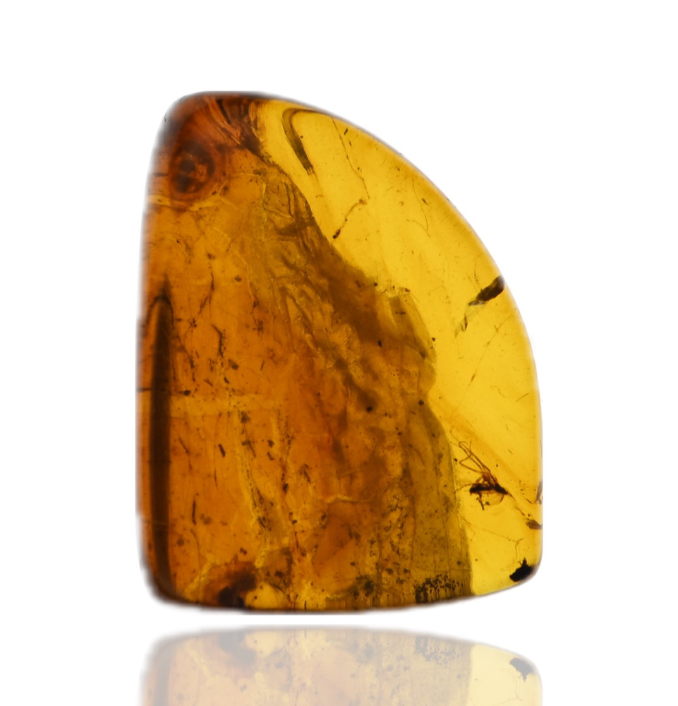 Ambre avec inclusions