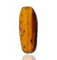 Ambre avec inclusions