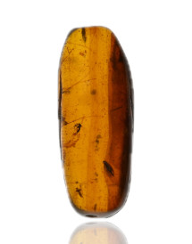 Ambre avec inclusions