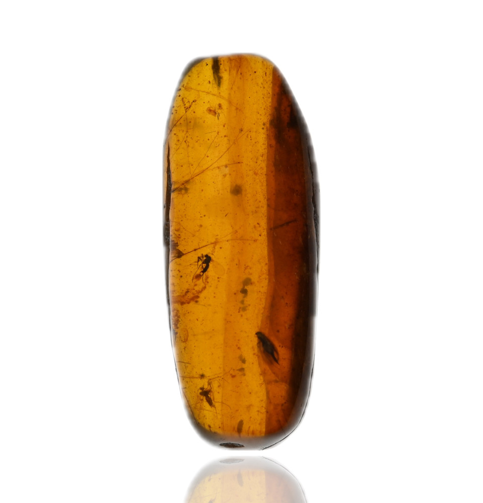Ambre avec inclusions