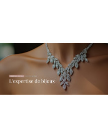 Formation à l'expertise de...