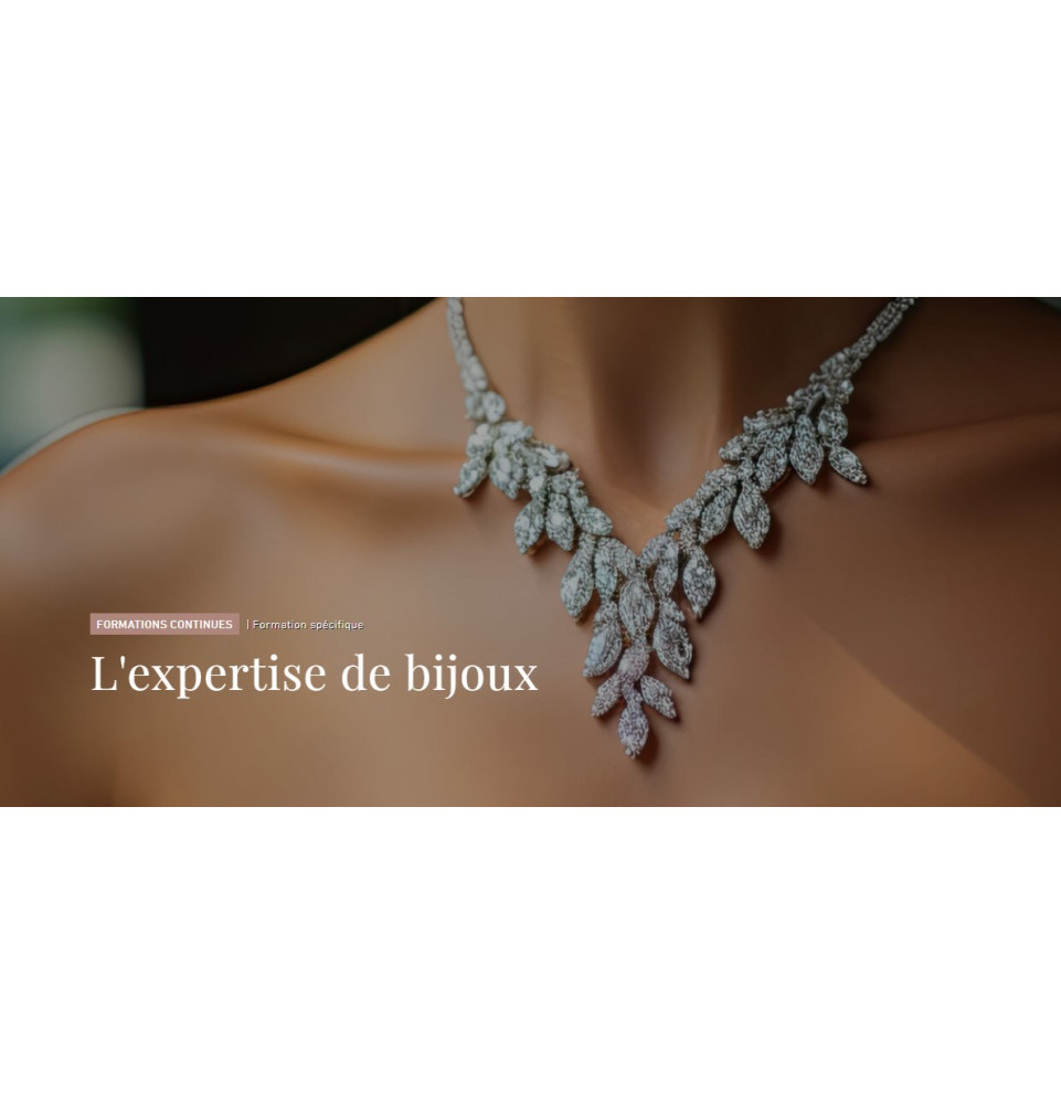 Formation à l'expertise de bijoux