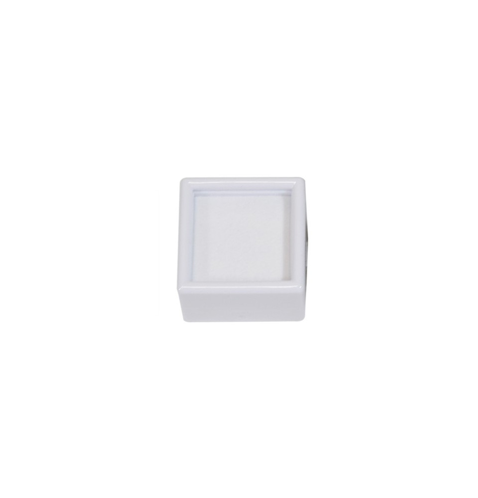 Boite dessus en verre petit, intérieur mousse blanche
