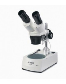 Microscope NOVEX AP8, tête inclinée 45° avec éclairage LED, grossissements 20x e