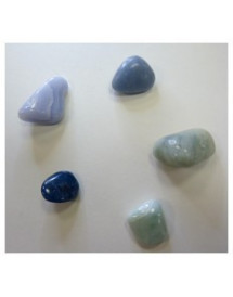 Ensemble "Gestion de l'intellect"