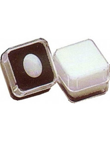 Boite carrée avec mousse blanche (19x19x14 mm)