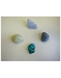 Ensemble "S'exprimer avec clarté et tact" 