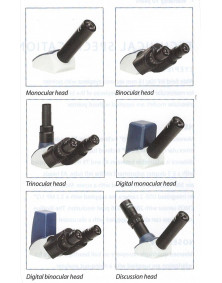 Microscope de biologie Ecoblue trinoculaire