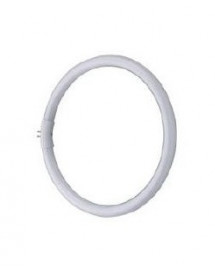 Ampoule de rechange 22w, pour lampe-loupe 125 mm