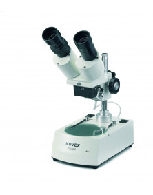 Microscope NOVEX AP5, tête inclinée 45° avec éclairage par incidence + transpare