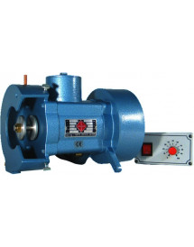 Lapida électronique