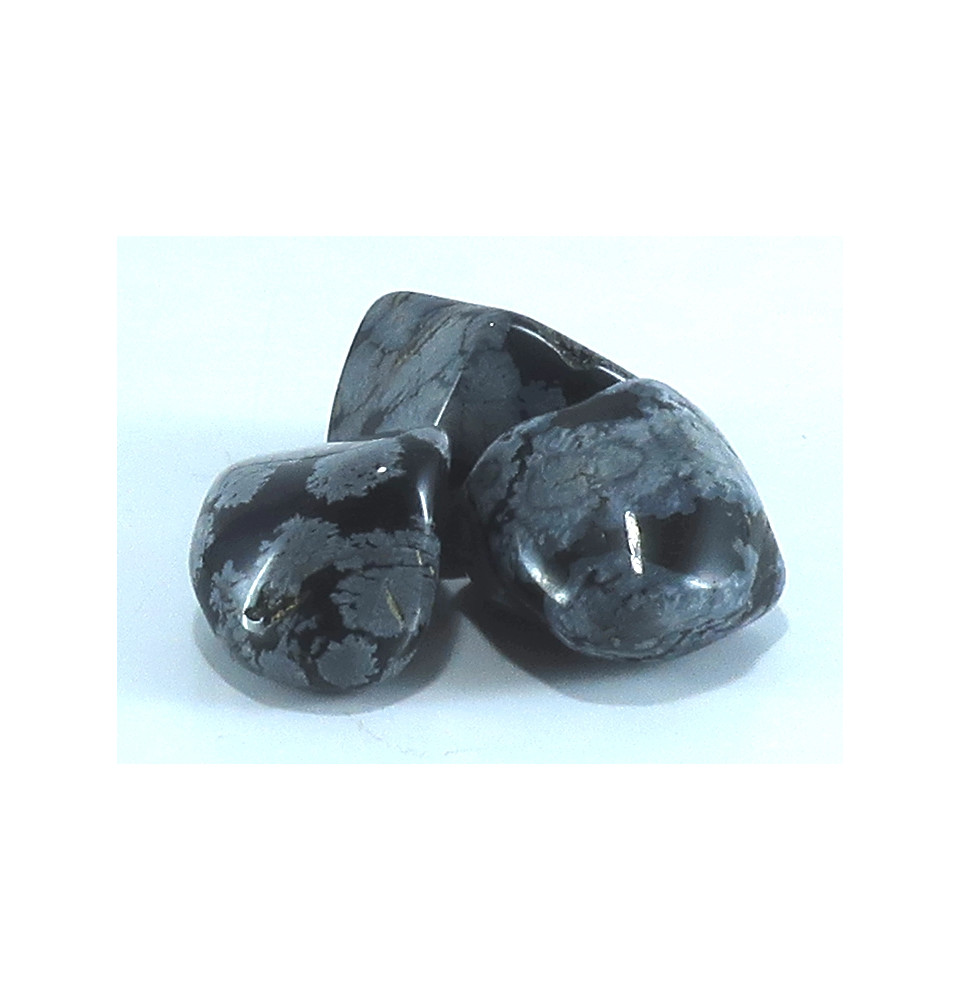 Recharge Obsidienne Mouchetée roulée - 100g