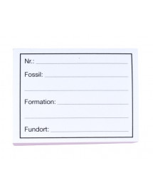  Etiquettes pour fossiles par 100