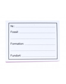 Etiquettes pour fossiles par 100